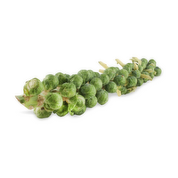  Brussels Sprout Stalk - 1 Each