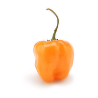  Habanero Pepper - Avg 0.10 Lb