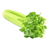 Celery Stalk - 1 Each