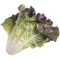 Lettuce, Red Leaf - 1 Each