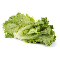 Leaf Lettuce - 1 Each