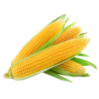 Corn - 1 Each