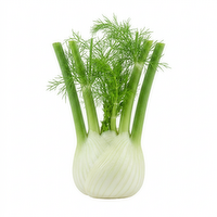  Fennel - 1 Each
