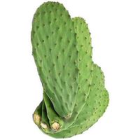 Cactus Leaves Nopales - Avg 0.50 Lb