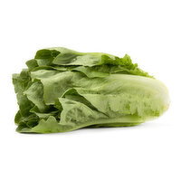 Romaine Lettuce - 1 Each
