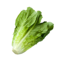 Lettuce, Romaine - 1 Each