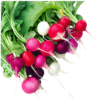 Produce Radishes Assorted Bby - 1 Each - 1 Each