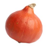 Red Kuri Squash - Avg 0.31 Lb