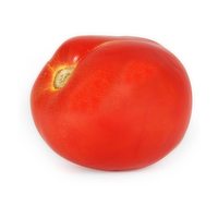Organic Tomato - 1 Each