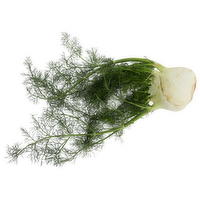 Organic Anise 1ea - 1 Each