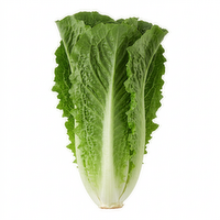  Organic Romaine Lettuce - 1 Each