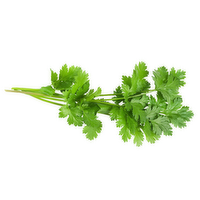Fresh Organic Cilantro - 1 Each