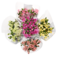 Mini Carnation - 1 Each