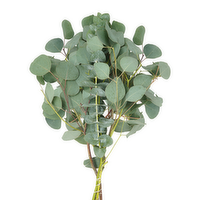 Mixed Eucalyptus Bouquet - 1 Each