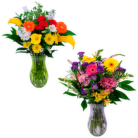 Supreme Arrangement - 1 Each