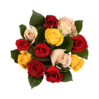 Dozen Rose Rainbow - 1 Each