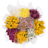 Dsibud Micro Pom Box - 1 Each