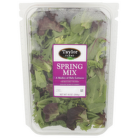 TAYLOR FARMS Spring Mix - 10 Ounce