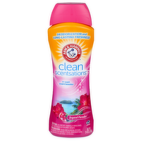 Arm & Hammer Clean Scentsations - 24 Ounce