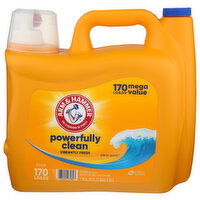 Arm & Hammer Ah Liq Cln Brst Dual He Det - 170 Fluid Ounce