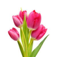 Fresh Stem Tulips-10stm Bunch - 1 Each