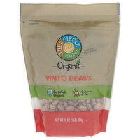 Full Circle Market Pinto Beans - 16 Ounce