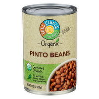 Full Circle Market Organic Pinto Beans - 15.5 Ounce