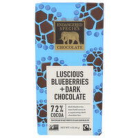 Endangered Species Chocolate Turtle 72% Dark With Blueberries - 3 Ounce