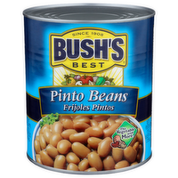 Bush's Best Canned Beans Pinto - 111 Ounce