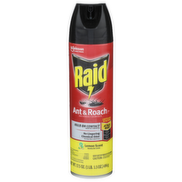 Raid Lemon Scent Ant & Roach Kills On Contact - 17.5 Ounce