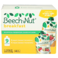 Beech-Nut Breakfast - 3.5 Ounce - 9 Count