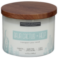 RUGGED & REFINED Baja Cactus & Kelp 3 Wick Candle - 14.75 Ounce