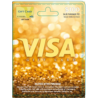 Visa Gift (SUN) $100 Card - 1 Each