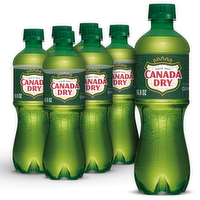 Canada Dry Ginger Ale Soda - 0.083 Liter - 6 Count