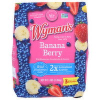 Wyman's Frozen Fruit Wild Blueberries,strawberries & Banana Slices - 3 Pound