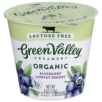 Green Valley Creamery Lowfat Yogurt Blueberry - 6 Ounce
