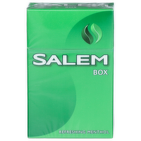 Salem Refreshing Menthol Cigarettes - 20 Count