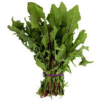 Organic Red Dandelion - 1 Each