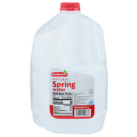 Brookshire's Spring Water - 1 Gallon