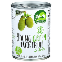 Nature's Charm In Brine Young Green Jackfruit - 20 Ounce