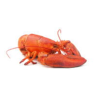 Steamed Lobster Seafood - 1 Each