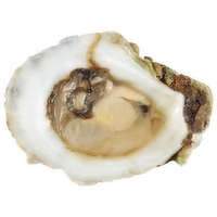 Half Shell Oysters - 2 Ounce