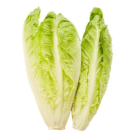 Organic Romaine - 1 Each