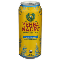 GUAYAKÍ Blueberry Organic Yerba Mate Bluephoria Usa - 15.5 Fluid Ounce