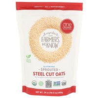 One Degree Organic Foods Gluten Free Sprouted Steel Cut Oats - 24 Ounce