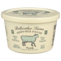 Bellwether Farms Yogurt Sheep Milk Plain - 16 Ounce