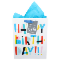 Hallmark Gift Bag - 1 Each