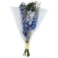 Delphinium Cb 1 Ea - 1 Each