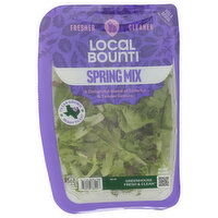 LOCAL BOUNTI Spring Mix Baby Leaf - 9.5 Ounce