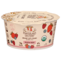 Painterland Sisters Meadow Berry Creamy Organic Icelandic Style Skyr Yogurt - 5.3 Ounce